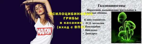 дживик Медногорск